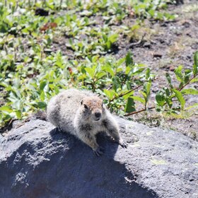 �������