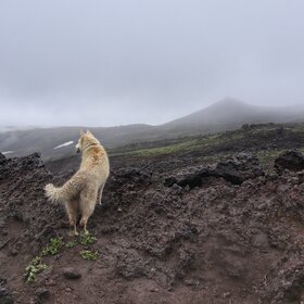 �������� �� ��������