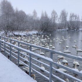 ��������� �����