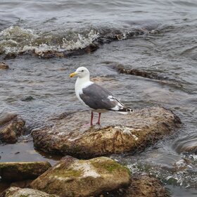 ������������