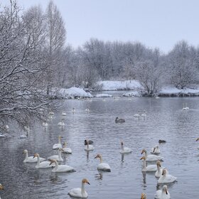 ��������� �����