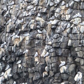 ������� �����