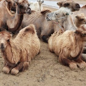 ����������