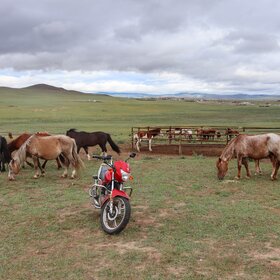 �������� ����